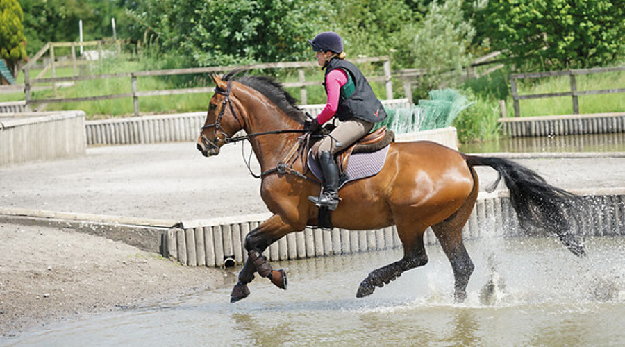 Careers Guide Image Horse Through Water
