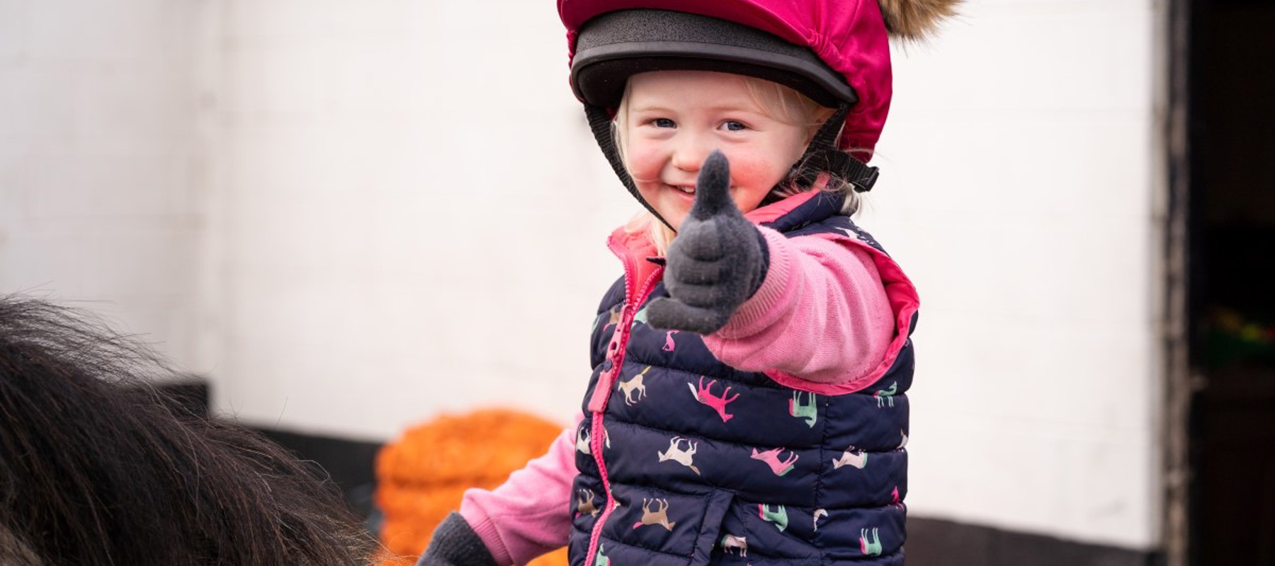 BHS Parbold Equestrian Centre 22 (8)