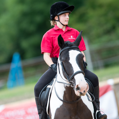 Complete Horsemanship 1