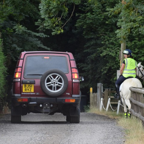 Say Hi Horse And Car 1