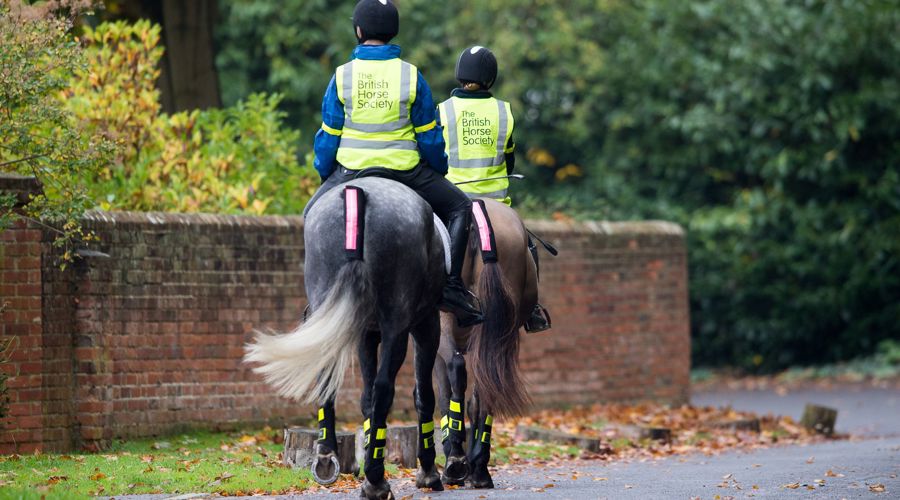 Bhs Ridesafe Oct17 8000