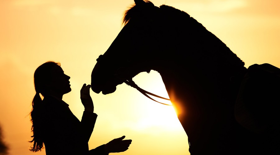 Thumbnail Shutterstock 1746321707 PUR