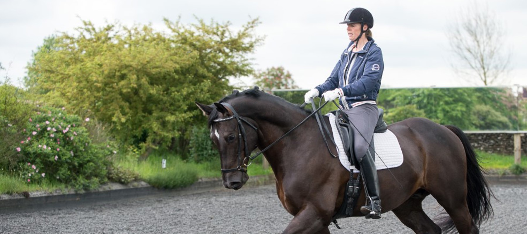 Bhs Stage 3 Ride Dressage