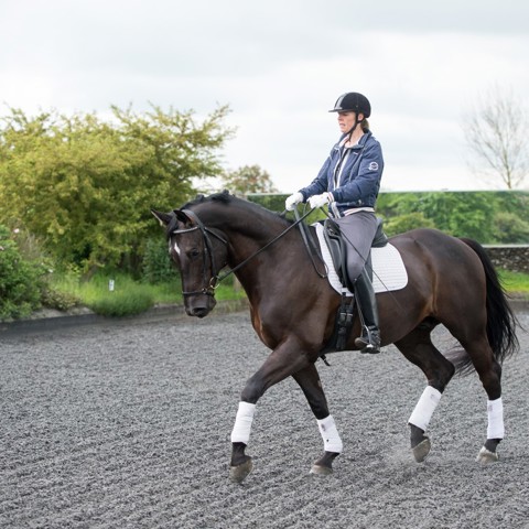 Bhs Stage 3 Ride Dressage