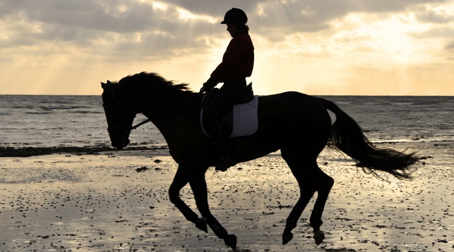 Legacy Rider On The Beach Shutterstock 93699190