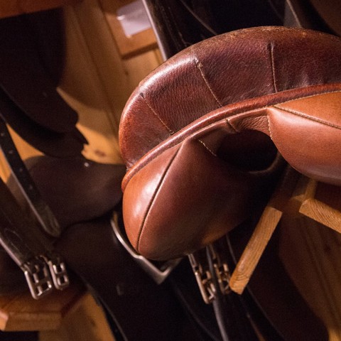 Saddlery