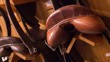 Saddlery