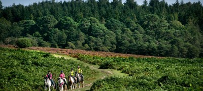 Equestrian Tourism