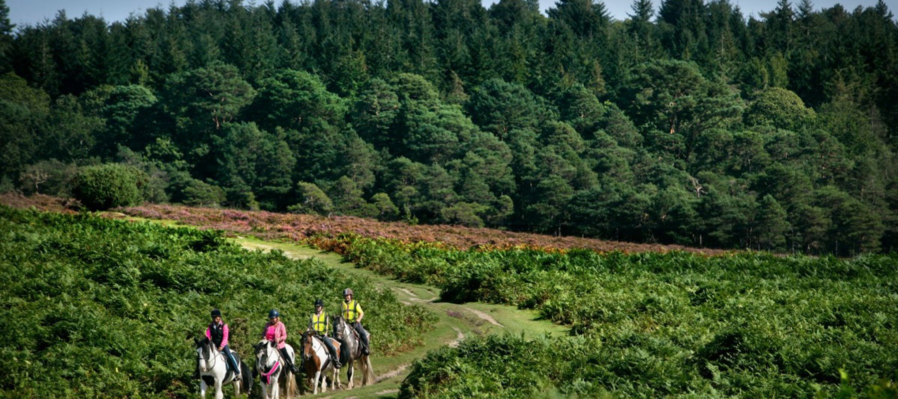 Equestrian Tourism