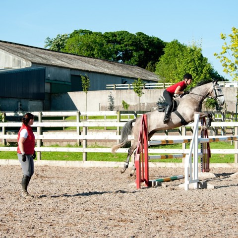 Coaching Pathway (Showjumping)