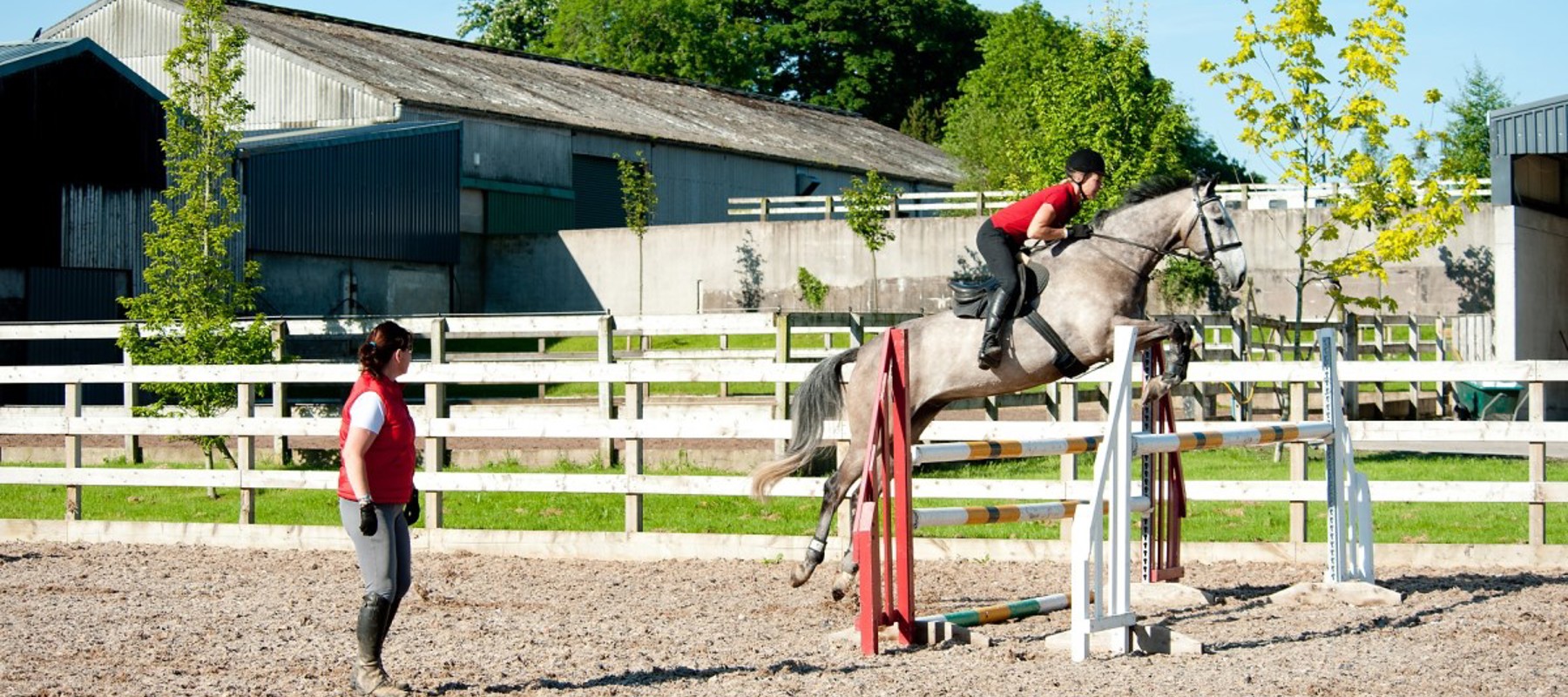 Coaching Pathway (Showjumping)