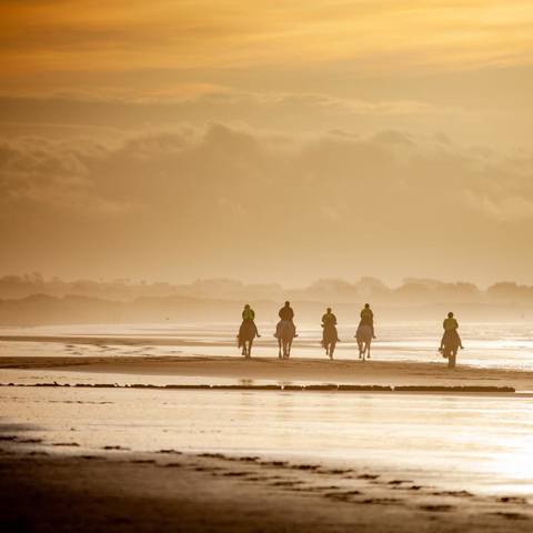 Beach image