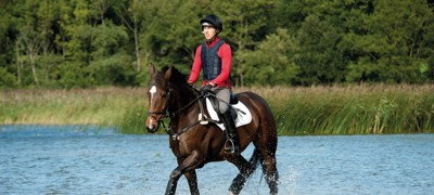 Groom With Riding Jump (Stage 3)