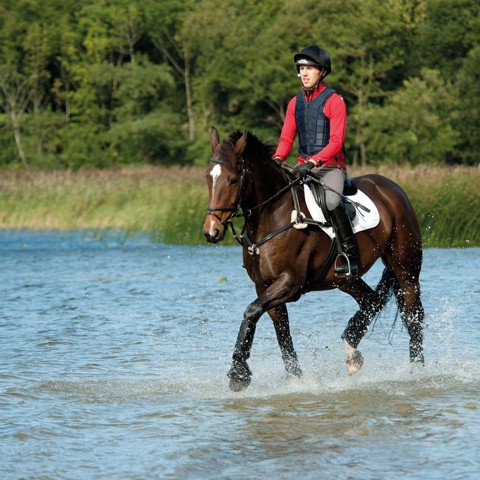 Groom With Riding Jump (Stage 3)