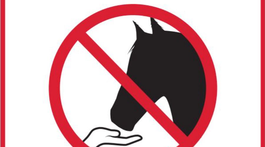 Do Not Feed Horses Poster 1
