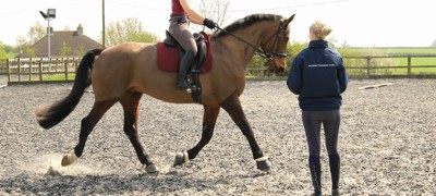Coaching (Dressage)