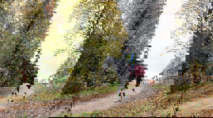 Hacking BHS STOCK NOV2016 6130