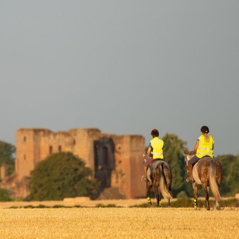 Go Riding