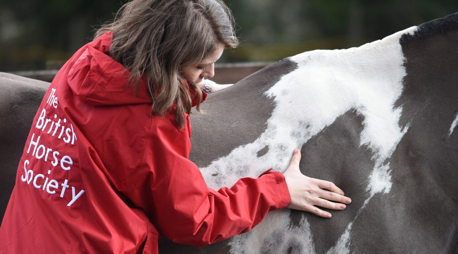 Health Clinic Image 1 Sophie Green (1)