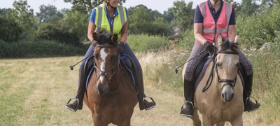 Bungalow Farm Horses 53