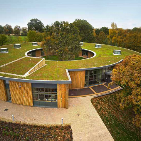 Equine House