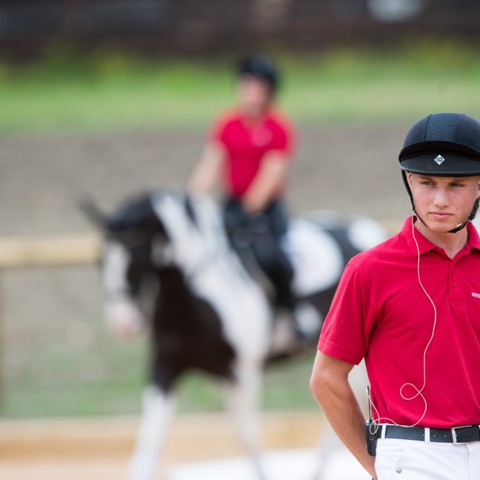 Foundation Coach In Complete Horsemanship Stage 2