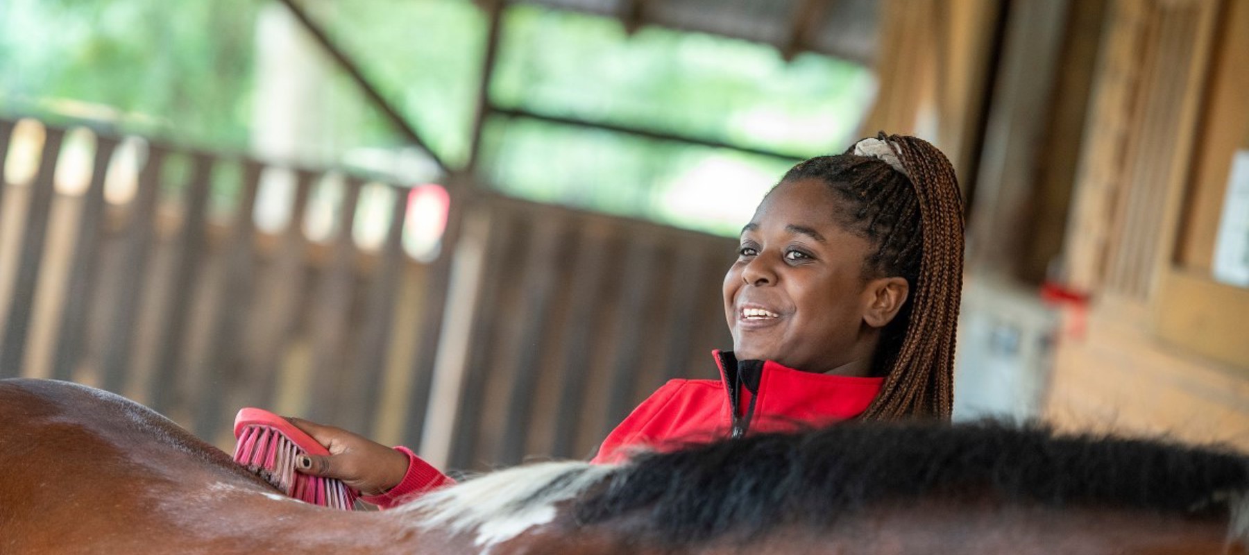 Horse Care