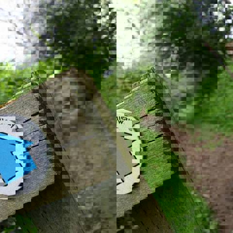 Bridleway