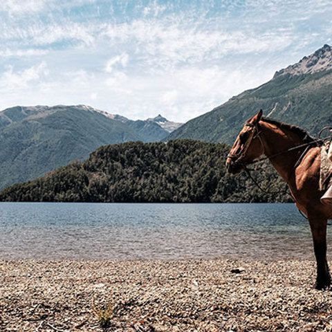 Patagonia Web Image