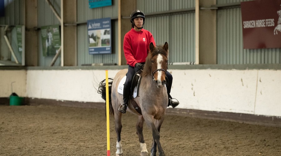 Image 3 Mounted Games Header