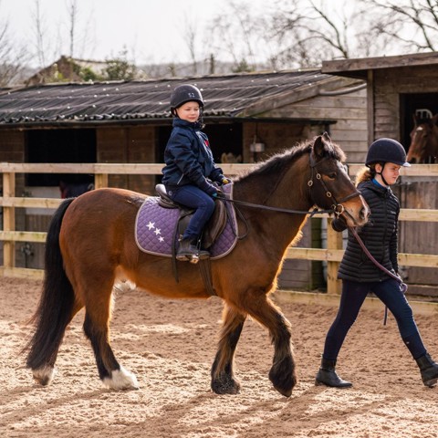 BHS Parbold Equestrian Centre 258 (2)
