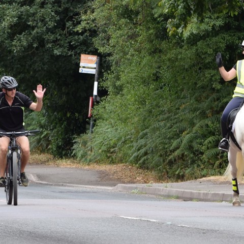 Say Hi Cyclist And Horse 71