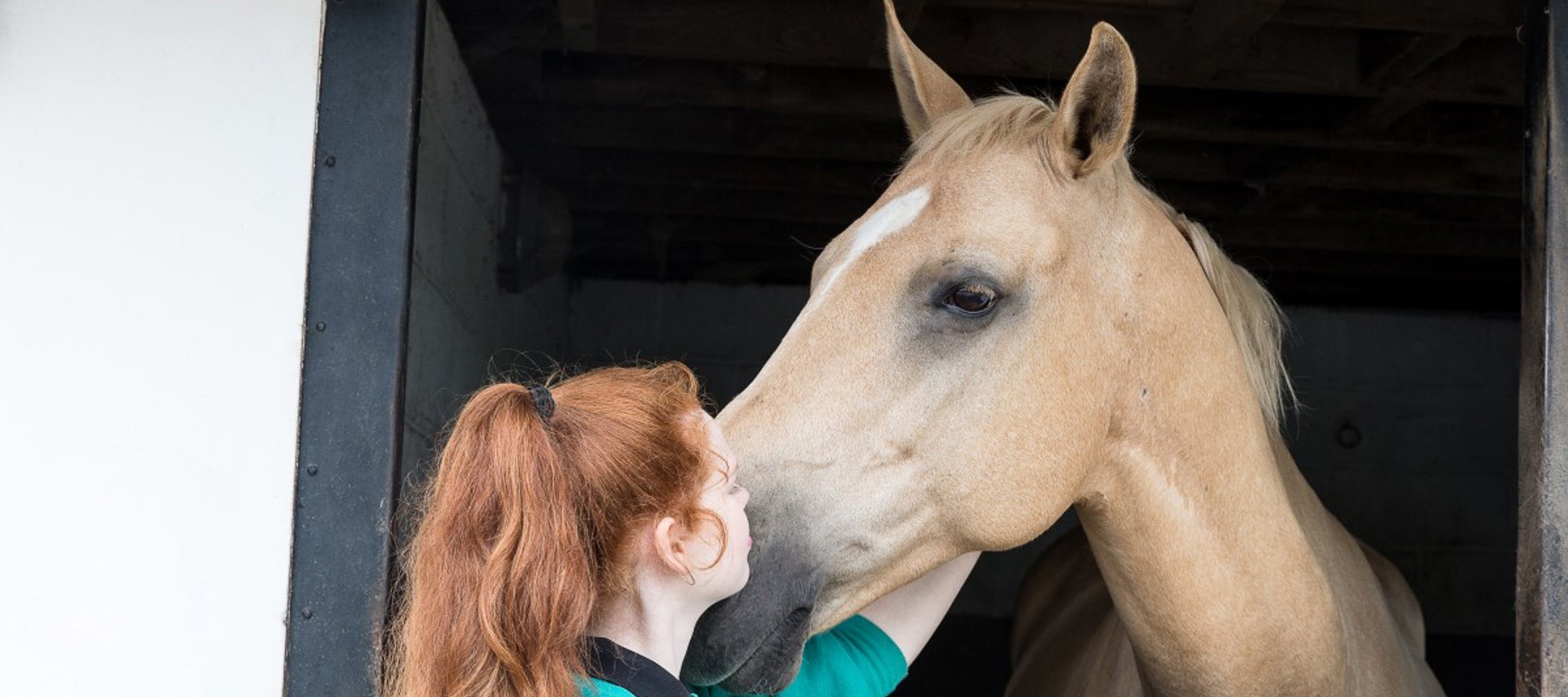 Horse Head Over Stable (3)