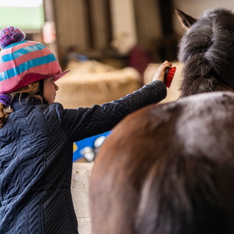 BHS Parbold Equestrian Centre 37