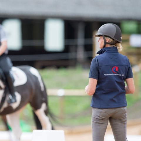 Coach In Complete Horsemanship Stage 3
