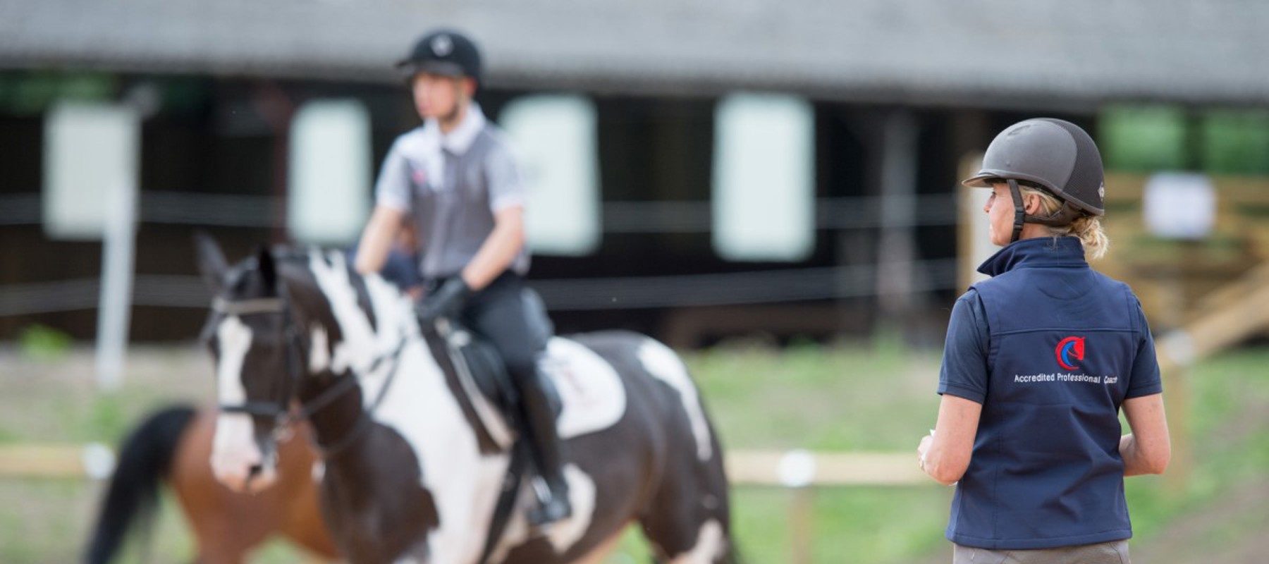 Coach In Complete Horsemanship Stage 3