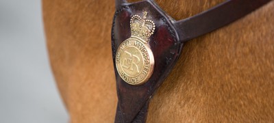 Mounted Services