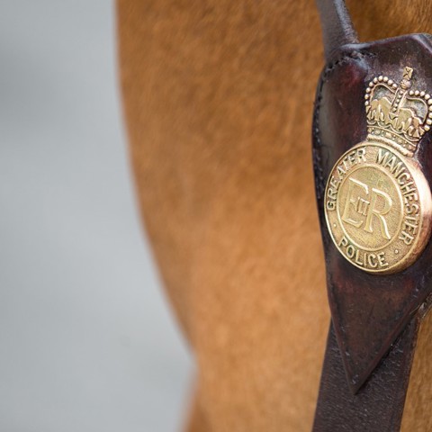 Mounted Services