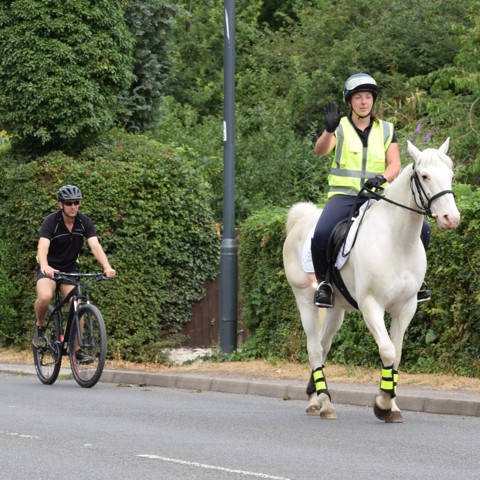 Say Hi Cyclist And Horse 16
