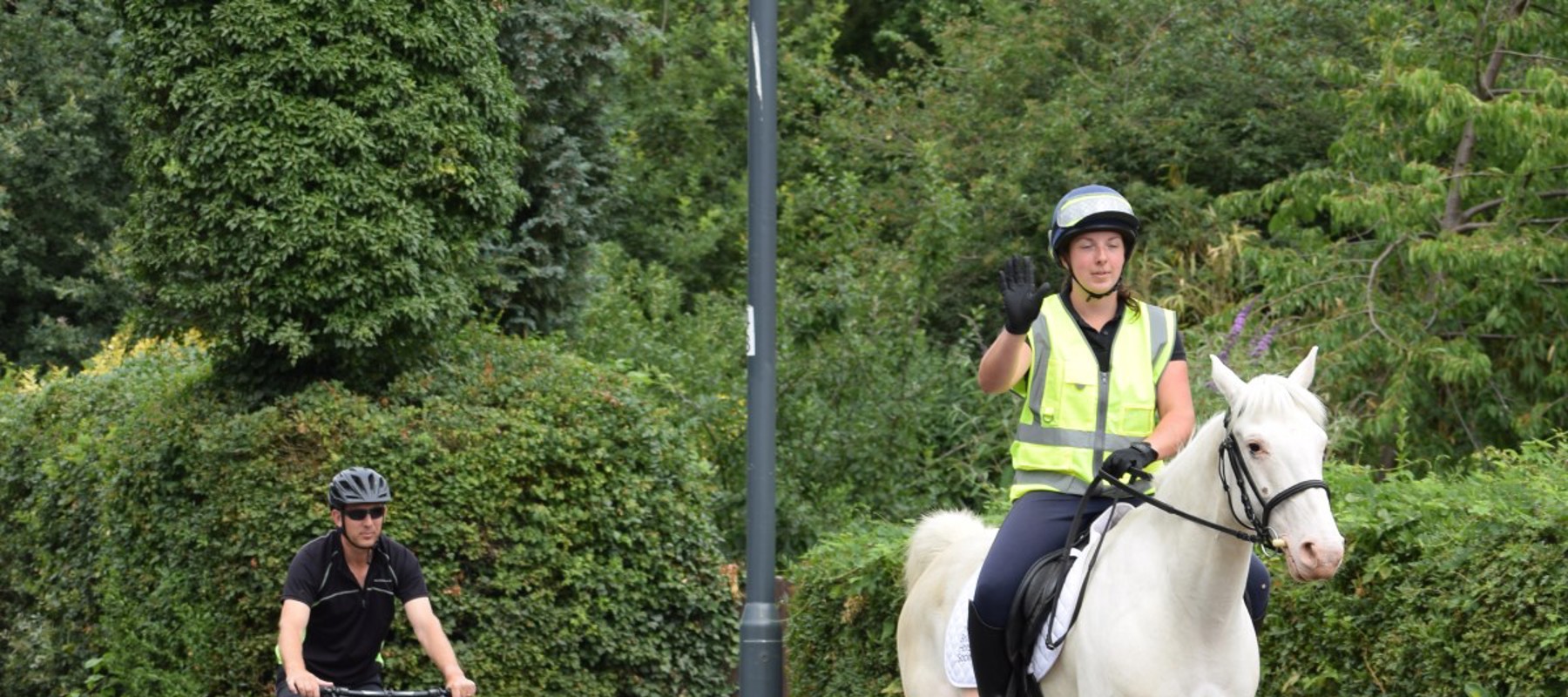 Say Hi Cyclist And Horse 16