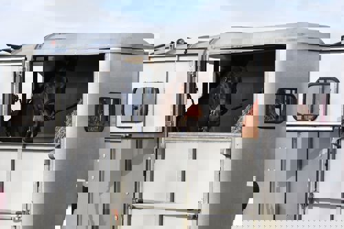 Horse in a silver horse box