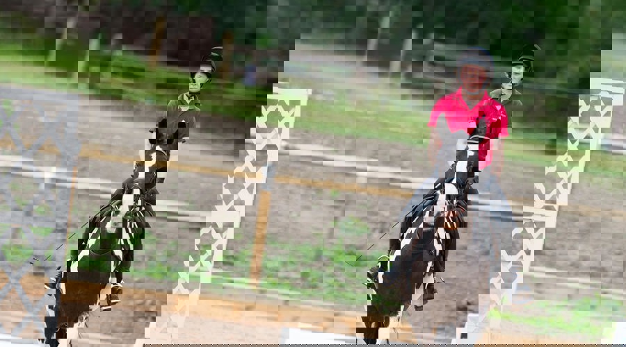 BHS WELLINGTON 030717 0036