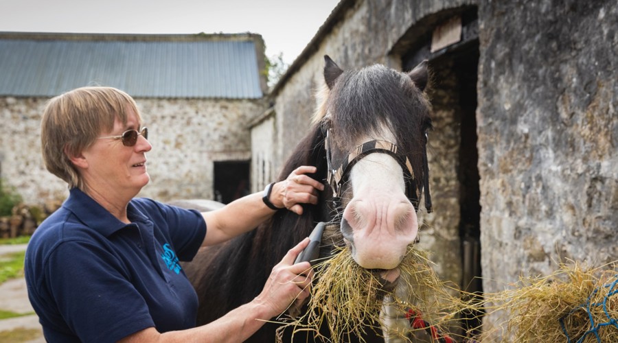 DBP Marros140921 109
