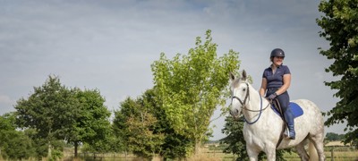 Horses 106