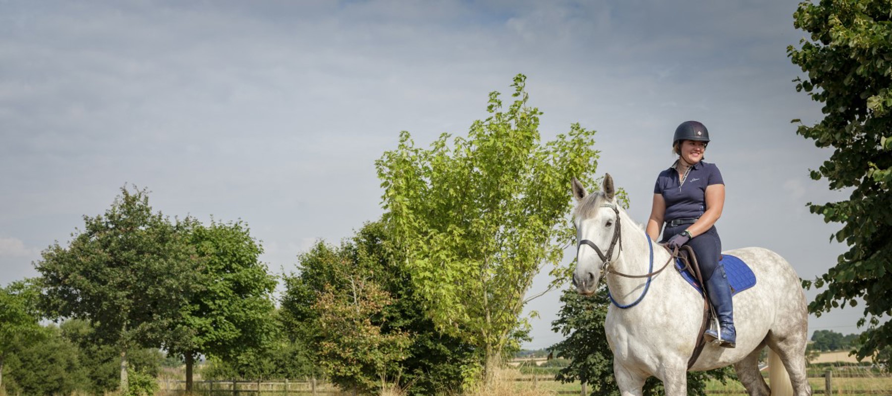 Horses 106