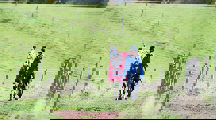 BHS STOCK NOV2016 1018