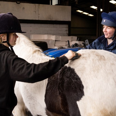 BHS Parbold Equestrian Centre 25