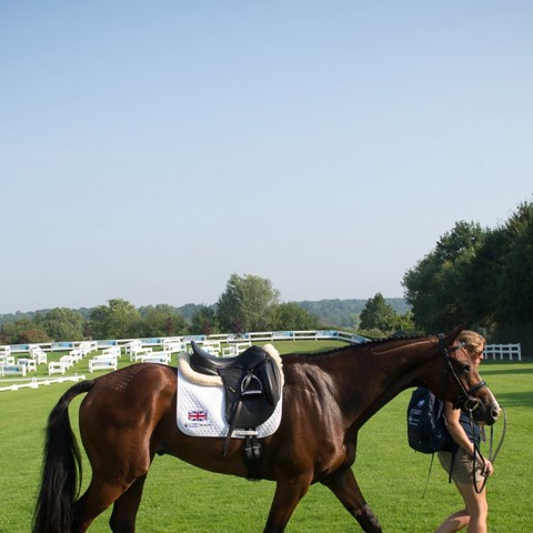 Groom Pathway