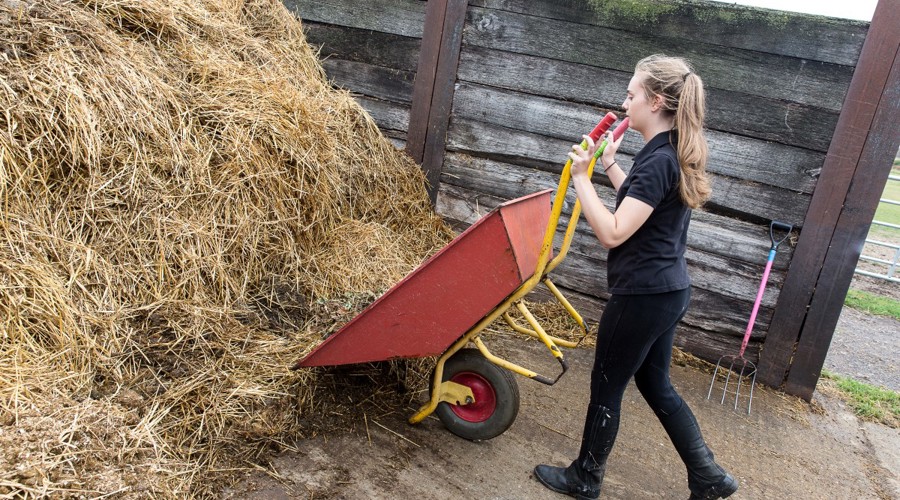 25 CLTH Emptying Wheelbarrow Highresolution 8933