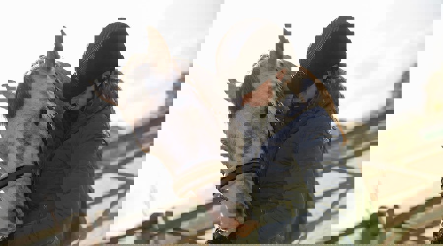 BHS STOCK NOV2016 0533